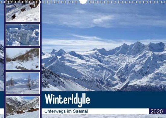 Cover for Michel · WinterIdylle Unterwegs im Saasta (Book)