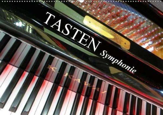 Cover for Bleicher · TASTEN Symphonie (Wandkalender (Book)