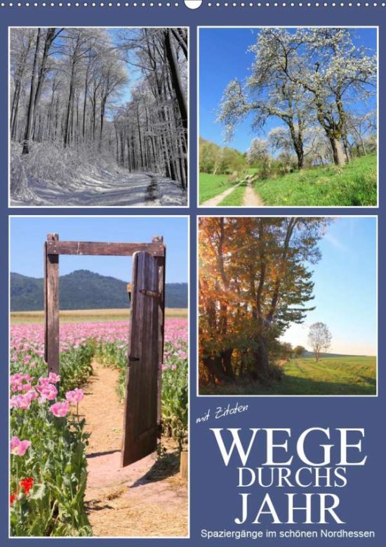 Cover for Löwer · Wege durchs Jahr - Spaziergänge i (Book)