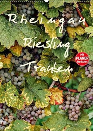 Cover for Meyer · Rheingau - Riesling Trauben (Wand (Book)