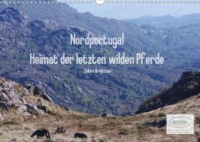 Cover for Bengtsson · Nordportugal - Heimat der let (Book)