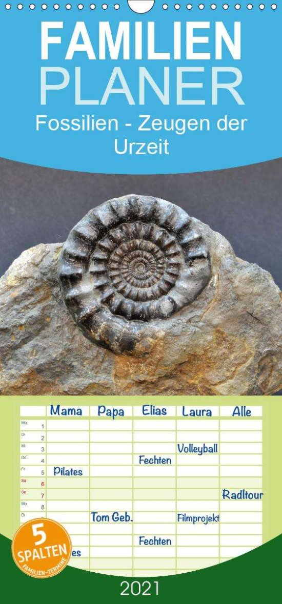 Cover for Wagner · Fossilien - Zeugen der Urzeit - (Book)