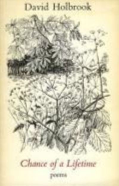 Cover for David Holbrook · Chance of a lifetime (Book) (1978)