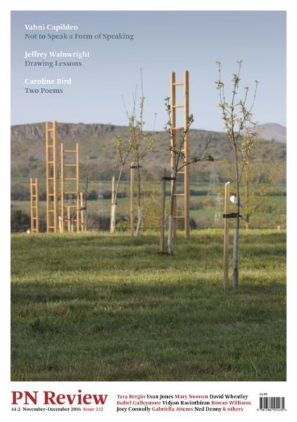 PN Review 232 - Michael Schmidt - 图书 - Carcanet Press Ltd - 9781784101435 - 2016年12月1日