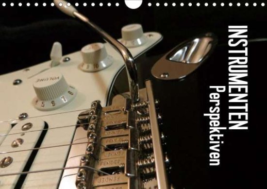 Cover for Bleicher · Instrumenten Perspektiven (Wan (Book)