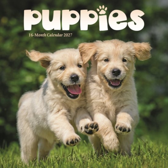 Puppies Mini -  - 周边商品 - CAROUSEL CALENDARS 2027 - 9781529856446 - 2026年8月10日