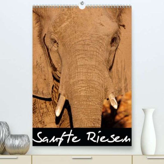 Cover for Woyke · Sanfte Riesen - Afrikas Elefanten (Book)