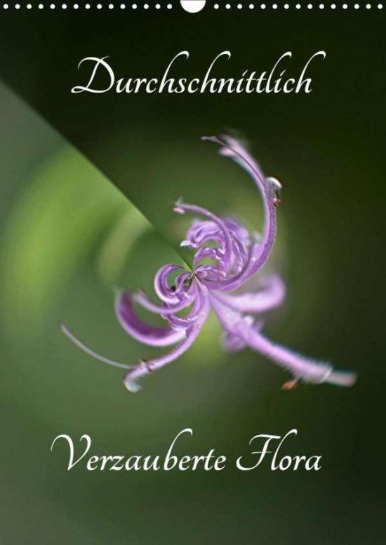 Cover for Grobelny · Durchschnittlich - Verzauberte (Book)