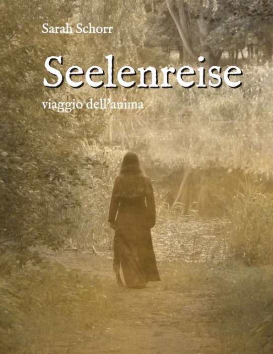 Seelenreise - Schorr - 图书 -  - 9783734731471 - 