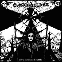 Cover for Swordwielder · Grim Visions Of Battle (LP) [Reissue edition] (2020)