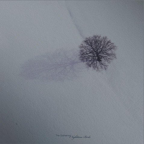 Cover for The Gathering · Nighttime Birds (LP) (2025)