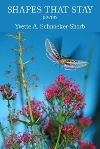 Cover for Yvette A Schnoeker-Shorb · Shapes That Stay (Paperback Book) (2021)