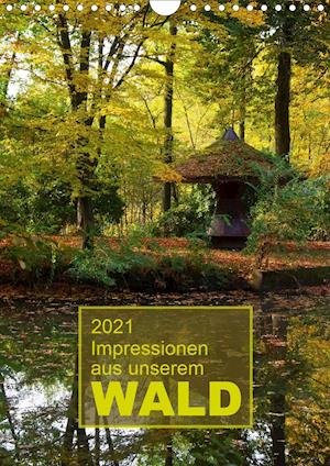 Cover for Dölling · Impressionen aus unserem Wald ( (Book)