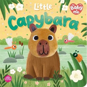 Cover for Igloo Books Ltd · Little Capybara (Board book) (2026)