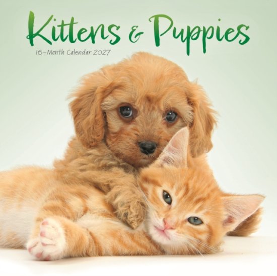 Cover for Kittens &amp; Puppies Mini (Calendar) (2026)