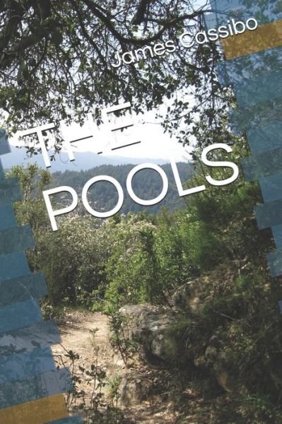 Cover for James Edward Cassibo · The Pools (Paperback Book) (2021)