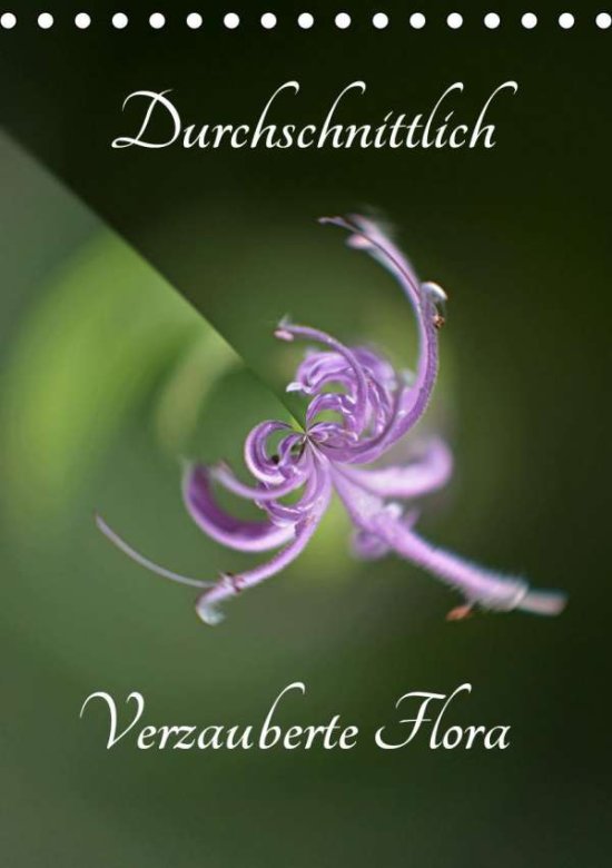 Cover for Grobelny · Durchschnittlich - Verzauberte (Book)