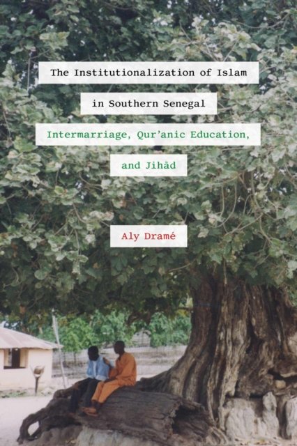 Cover for Aly Drame · The Institutionalization of Islam in Southern Senegal: Intermarriage, Qur'anic Education, and Jihad - African Perspectives (Paperback Book) (2025)