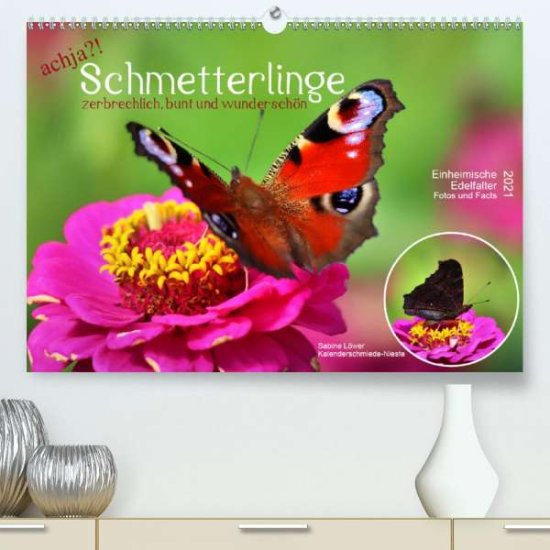Achja?! Schmetterlinge, Zerbrechl - Löwer - 图书 -  - 9783672357504 - 