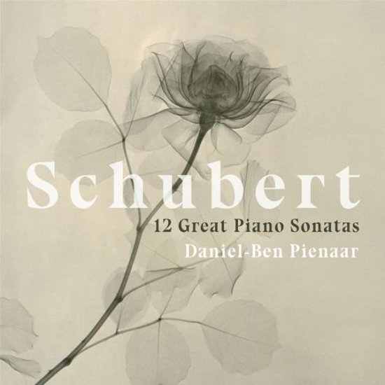 Cover for Daniel-Ben Pienaar · Schubert: 12 Great Piano Sonatas (CD) (2020)