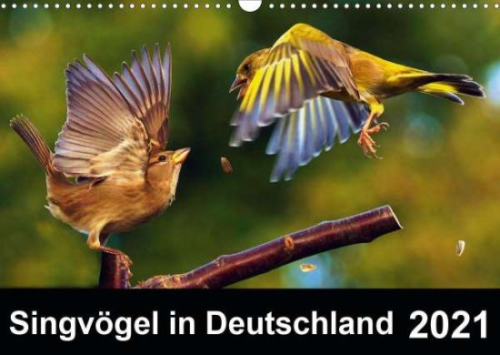 Cover for Klapp · Singvögel in Deutschland (Wandkal (Book)