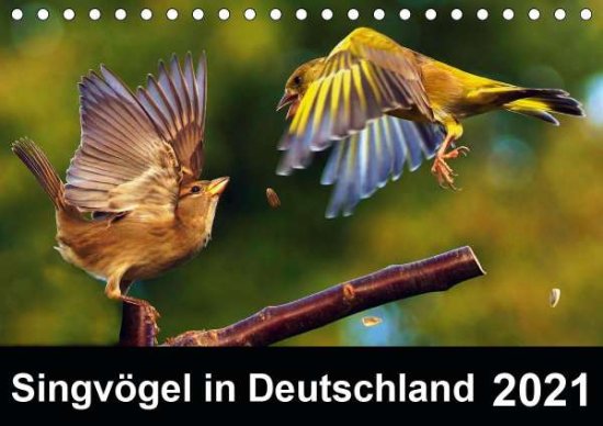 Cover for Klapp · Singvögel in Deutschland (Tischka (Book)