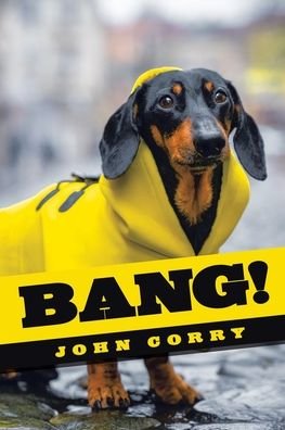 Bang! - John Corry - 图书 - iUniverse, Incorporated - 9781663225542 - 2021年7月20日