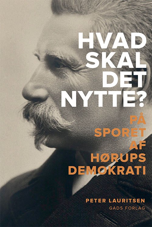 Cover for Peter Lauritsen · Hvad skal det nytte? (Sewn Spine Book) [第1 版本] (2020)