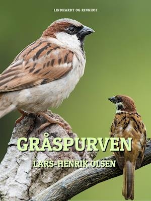 Cover for Lars-Henrik Olsen · Gråspurven (Sewn Spine Book) [第1 版本] (2019)