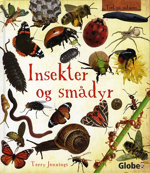 Cover for Terry Jennings · Tæt på naturen: Insekter og smådyr (Bound Book) [第1 版本] [Indbundet] (2010)
