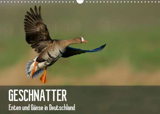 Cover for Krebs · Geschnatter - Enten und Gänse in (Book)