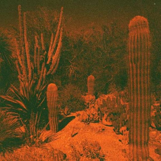 Anticipation - Cameron & Eli Winter Knowler - 音乐 - AMERICAN DREAMS RECORDS - 0618119854607 - 2021年3月12日