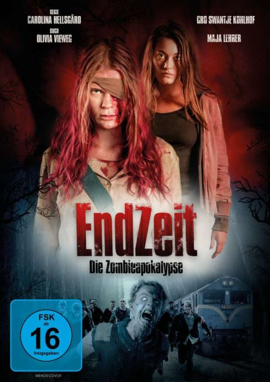 Cover for Kohlhof,gro Swantje / Lehrer,maj · Endzeit-die Zombieapokalypse (DVD) (2020)