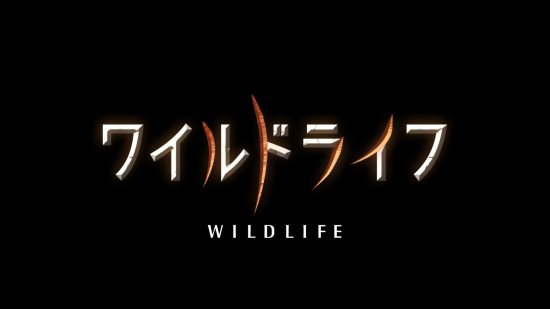 Cover for (Documentary) · Wild Life Shizen Shashinka Yasei He No Manazashi Box (MBD) [Japan Import edition] (2022)