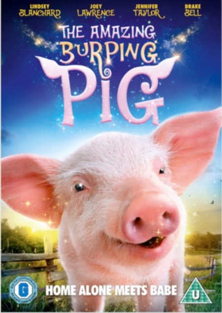 Cover for The Amazing Burping Pig · Amazing Burping Pig (DVD) (2017)