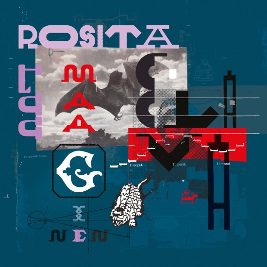 Cover for Rosita Luu · Maaginen elävä (LP) (2022)
