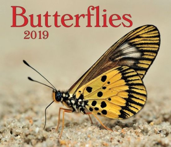 Cover for Firefly Books · Butterflies 2019 (Calendar) (2018)