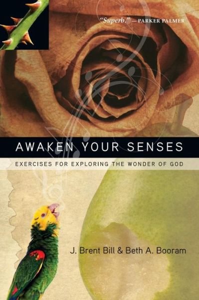 Cover for B J. Brent; Booram Bill · Awaken Your Senses (N/A) (2011)