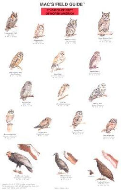 Cover for Craig Macgowan · Mac's Field Guide to Birds of Prey of North America (Mac's Guides) (MISC) [Chrt edition] (1990)