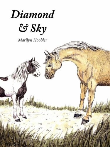 Cover for Marilyn E Hoobler · Diamond &amp; Sky (Paperback Book) (2009)
