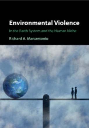 Cover for Marcantonio, Richard A. (University of Notre Dame) · Environmental Violence: In the Earth System and the Human Niche (Paperback Book) (2026)