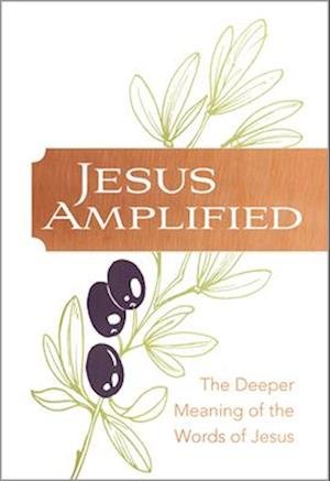 Cover for Ray Comfort · Jesus Amplified: The Deeper Meaning of the Words of Jesus (Paperback Book) (2025)