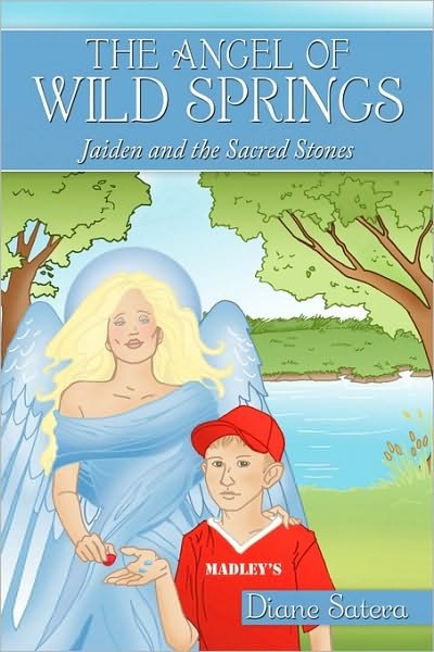 Cover for Diane Satera · The Angel of Wild Springs: Jaiden and the Sacred Stones (Hardcover Book) (2010)