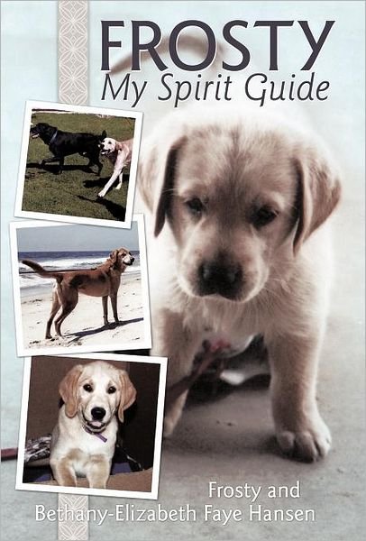 Cover for Bethany-elizabeth Faye Hansen · Frosty My Spirit Guide: How Changing Our Perceptions of Death Can Bring Us More Love, Joy, Happiness and Life! (Hardcover Book) (2011)