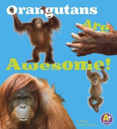 Cover for Allan Morey · Orangutans Are Awesome! - Awesome Asian Animals (Paperback Book) (2016)