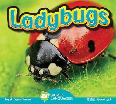 Cover for Aaron Carr · Ladybugs (Hardcover Book) (2017)
