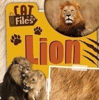 Cover for Bethany Latham · Lion (Book) (2026)