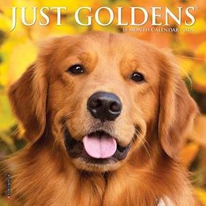 Cover for Willow Creek Press · Just Goldens 2026 Mini Wall Calendar (Calendar) (2025)