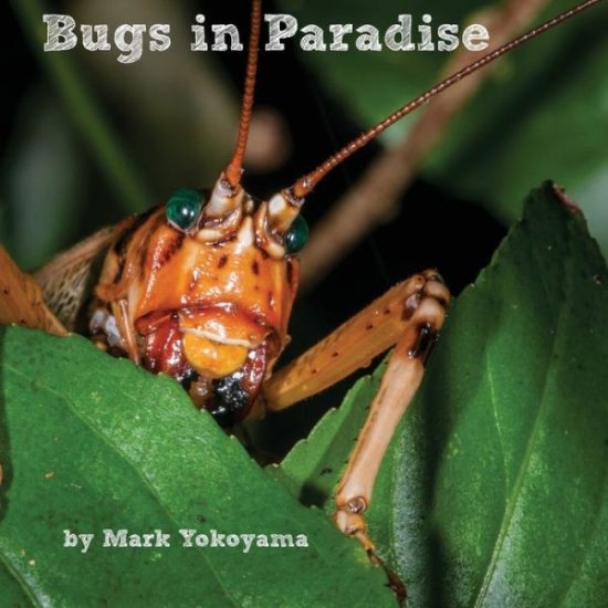 Cover for Mark Yokoyama · Bugs in Paradise (Paperback Book) (2019)