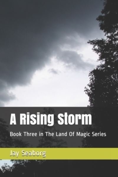 Cover for Jay Seaborg · A Rising Storm (Paperback Book) (2018)